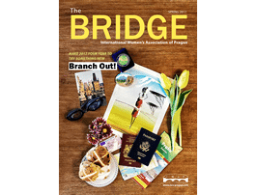 The Bridge – Spring 2017 Edition