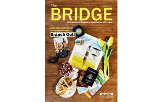 The Bridge Spring 2017 Magazine Cover