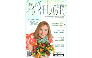 The Bridge Spring 2015 Cover