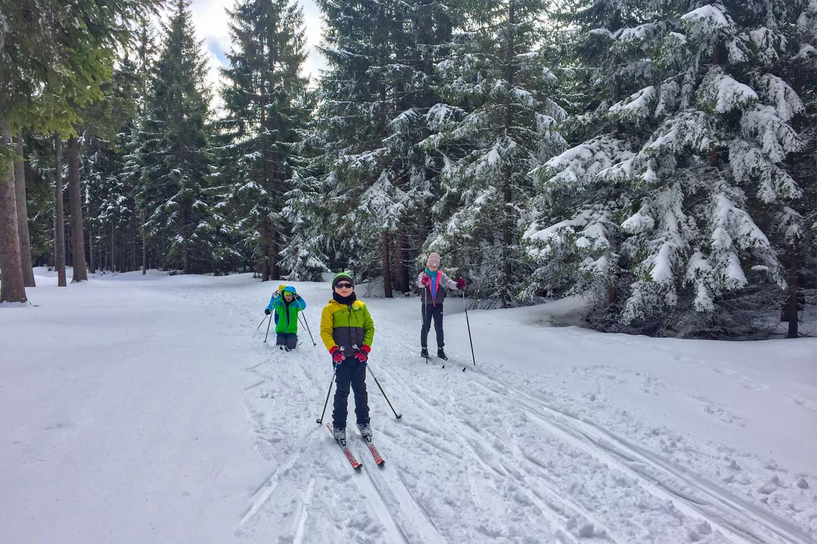 Nordic skiiing with children