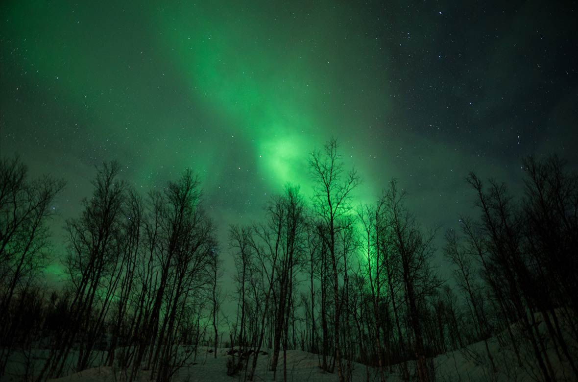 aurora borealis lights