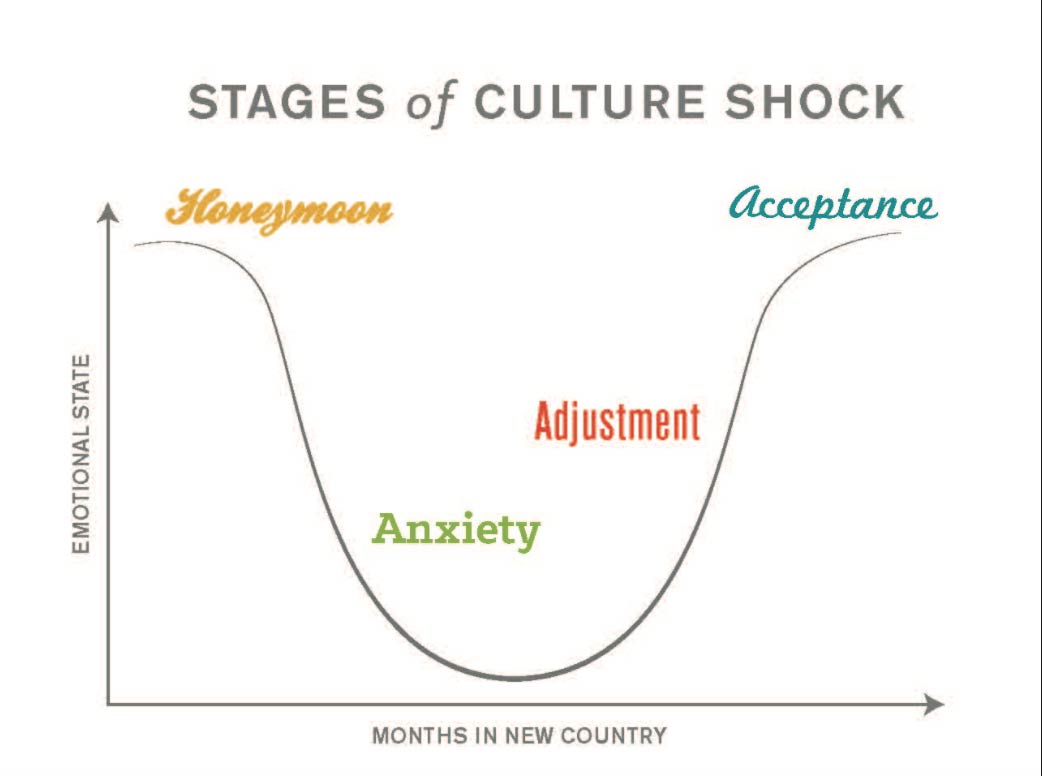 culture shock graph