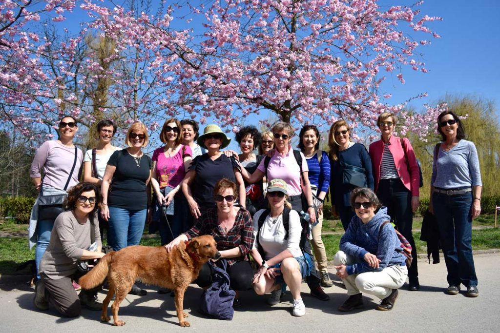 IWAP walking group photo in spring