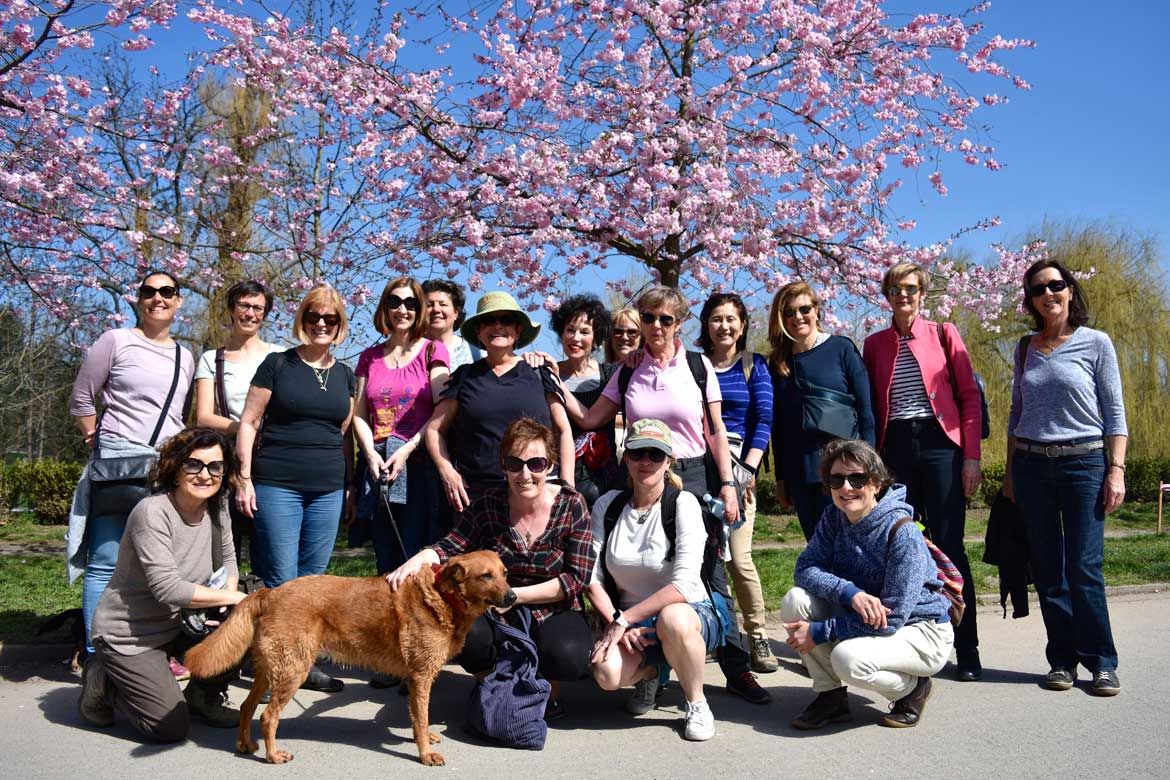 IWAP walking group photo in spring